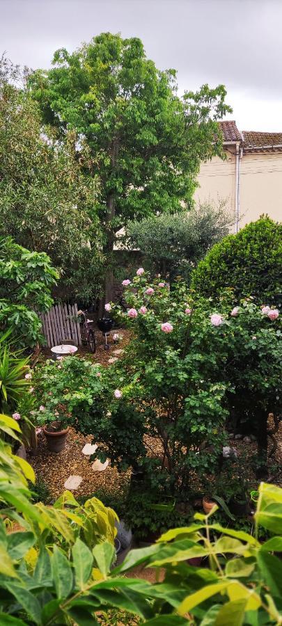 Villa Fontilha Usclas-l'Herault Екстер'єр фото